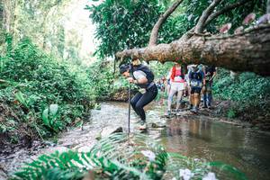 BIB: 
                            <button type="button" onclick="openModal(25476769)" class="btn btn-primary btn-sm float-right btn-popup" data-toggle="modal" data-target=".modal-high-quality">
                        <i class="fas fa-shopping-cart"></i> Add to Cart
                    </button>
                                            <button type="button" onclick="isThisMe(25476769, true)" class="btn btn-success btn-sm float-right btn-popup btn-isme hidden" data-toggle="tooltip" data-placement="bottom" title="นี่คือรูปของคุณใช่ไหม คลิกที่นี่เพื่อเอาเข้าอัลบั้ม">
                        <i class="fas fa-plus"></i> Add to album
                    </button>
                    <button type="button" onclick="isThisMe(25476769, false)" class="btn btn-warning btn-sm float-right btn-popup btn-isnotme hidden">
                        <i class="fas fa-ban"></i> Remove from album
                    </button>